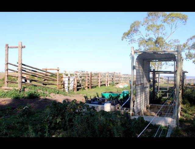 231HA FARM FOR SALE IN EAST LONDON RURAL